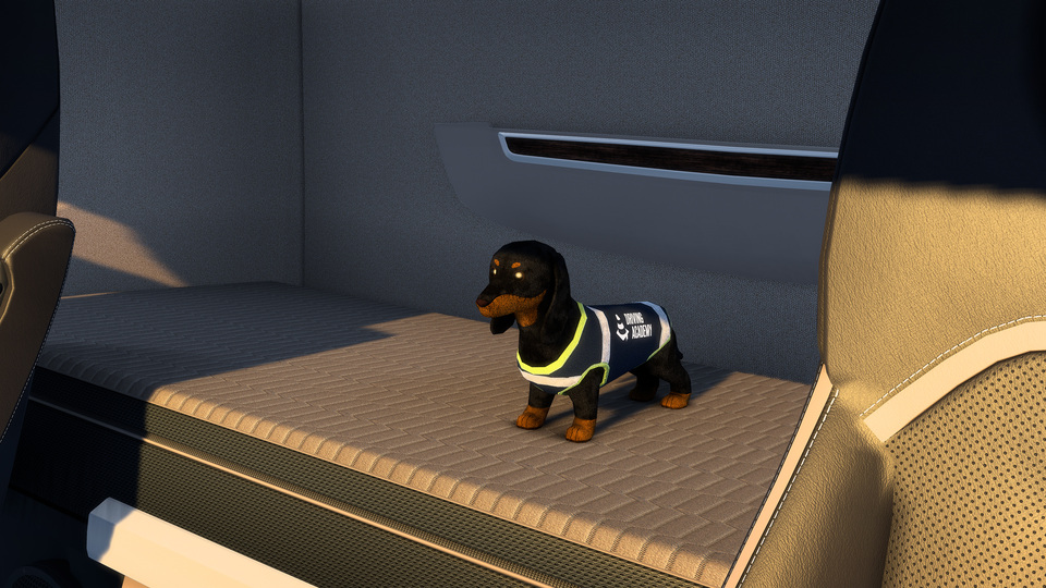 Driving Academy screenshots